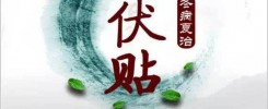 北京企业三伏贴免费上门服务